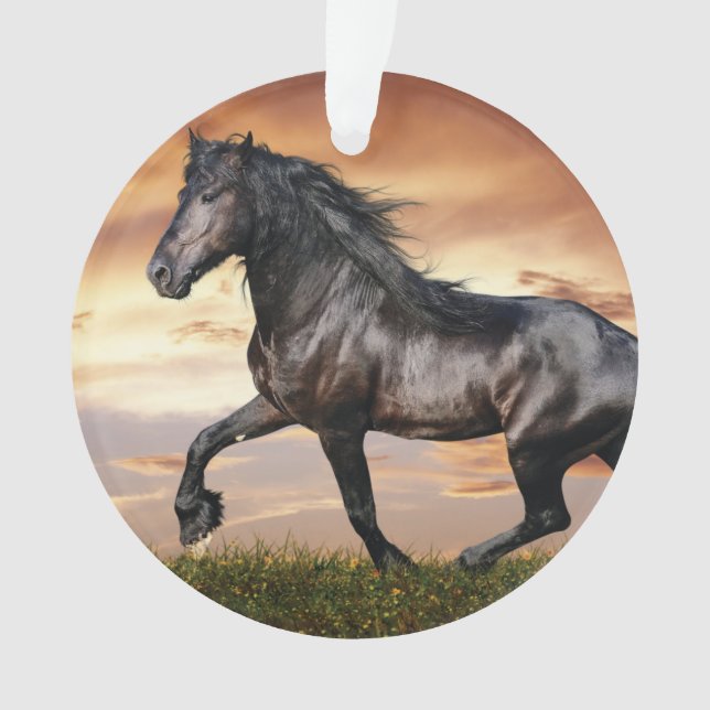Beautiful Black Horse Ornament (Front)