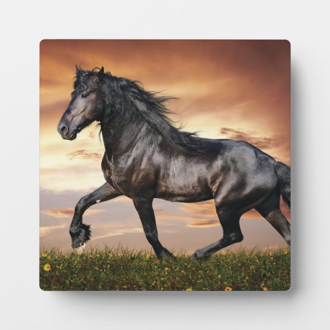 Beautiful Black Horse Plaque (Front)
