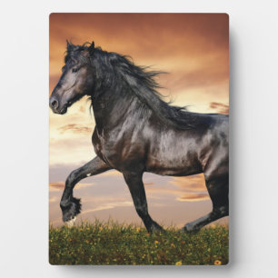 Beautiful Black Horse Plaque