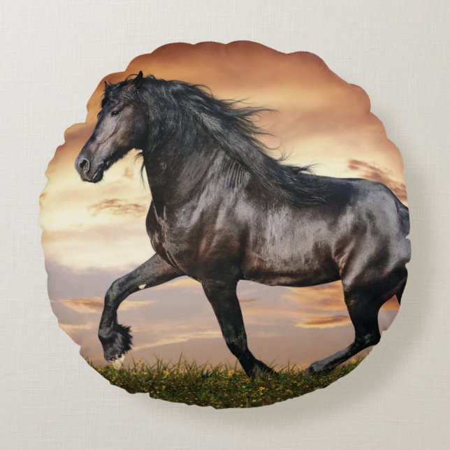 Beautiful Black Horse Round Cushion (Front)