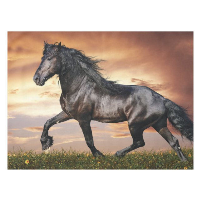 Beautiful Black Horse Tablecloth (Front (Horizontal))