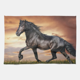 Beautiful Black Horse Tea Towel