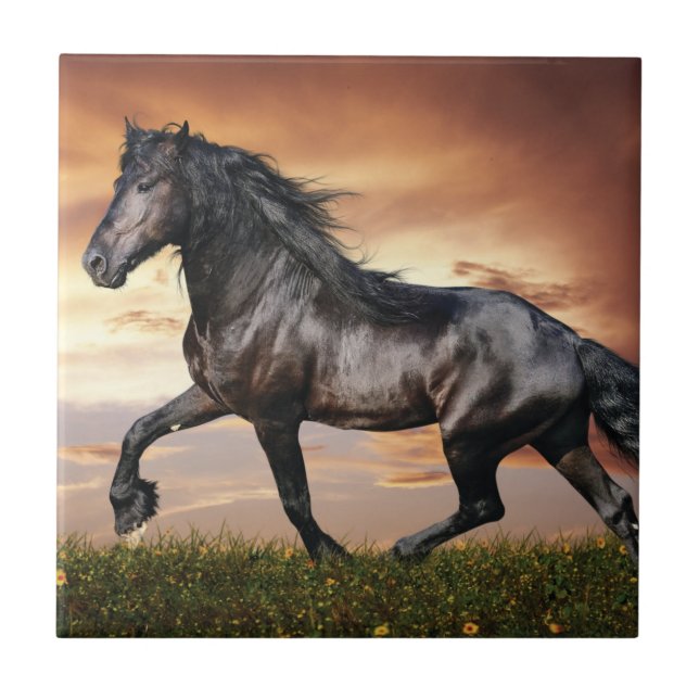 Beautiful Black Horse Tile (Front)