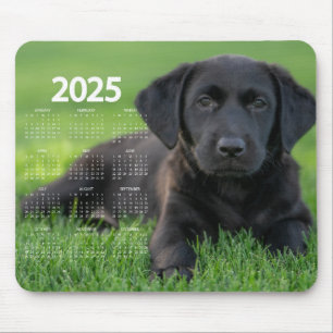 Beautiful Black Labrador 2025 Dog Calendar Mouse Pad