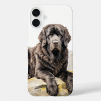 BEAUTIFUL BLACK NEWFOUNDLAND DOG