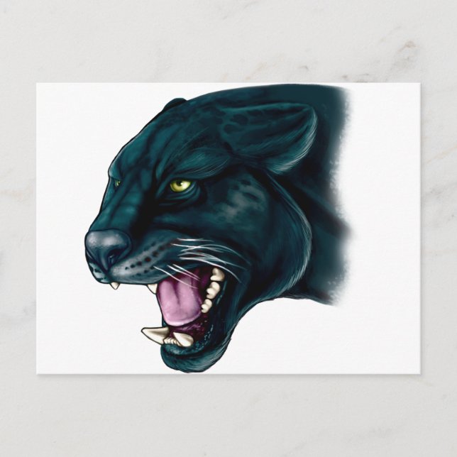 Beautiful Black Panther Postcard (Front)