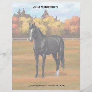 Beautiful Black Quarter Horse Stallion Custom Letterhead