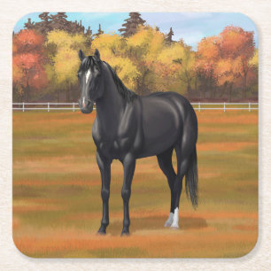 Beautiful Black Quarter Horse Stallion Square Paper Coaster
