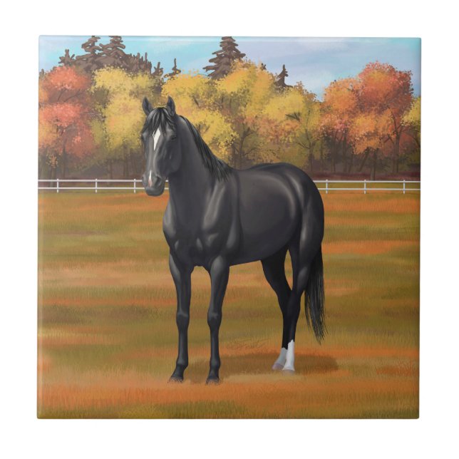 Beautiful Black Quarter Horse Stallion Tile (Front)