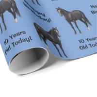 Beautiful Black Quarter Horse Stallion
