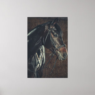 Beautiful Black Stallion Horse Canvas Print