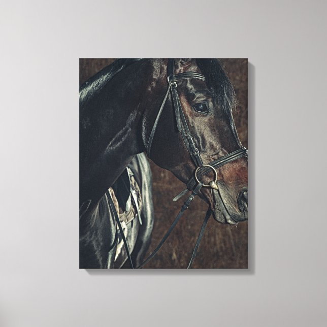 Beautiful Black Stallion Horse Canvas Print (Front)