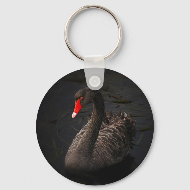 Beautiful Black Swan with a Bright Red Beak Key Ring (Front)