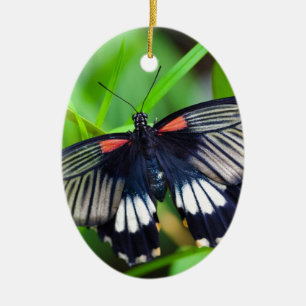Beautiful Black, White and Red Butterfly Ceramic Tree Decoration