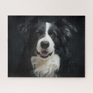 Beautiful Black White Border Collie Dog Photo Jigsaw Puzzle