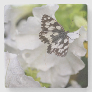 Beautiful Black & White Butterfly on a Flower Stone Coaster