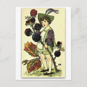 Beautiful Blackberry by NELLIE BENSON Postcard