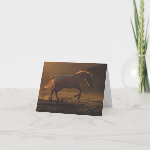 Beautiful Blank Appaloosa Horse Note Card