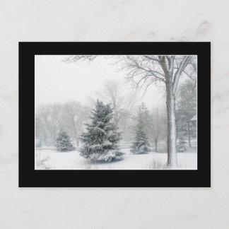 Beautiful Blizzard Postcard - Customised