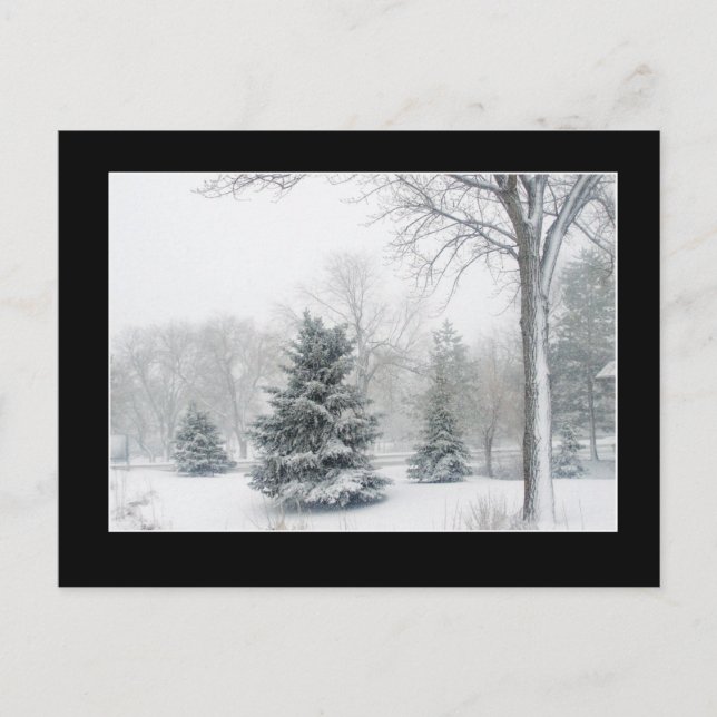 Beautiful Blizzard Postcard - Customised (Front)