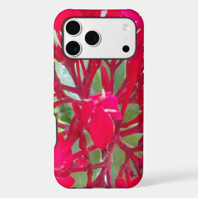 Beautiful Blood Flower Milkweed Art Print/Graphic (Back)