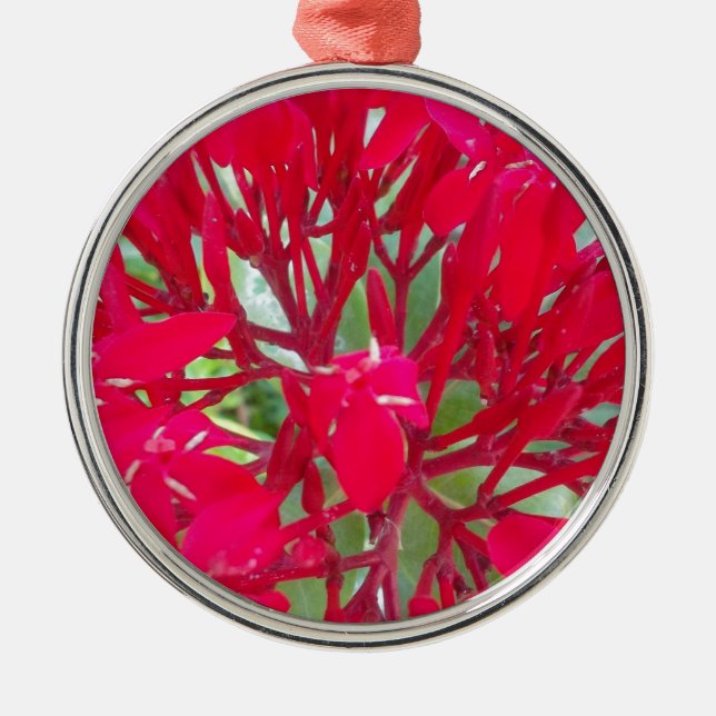 Beautiful Blood Flower Milkweed Art Print/Graphic Metal Tree Decoration (Front)