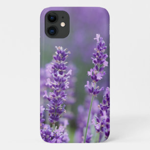 Beautiful Blooming Lavender Flowers  Case-Mate iPhone Case