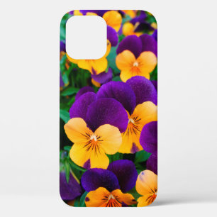 Beautiful blooming pansies in the garden iPhone 12 case