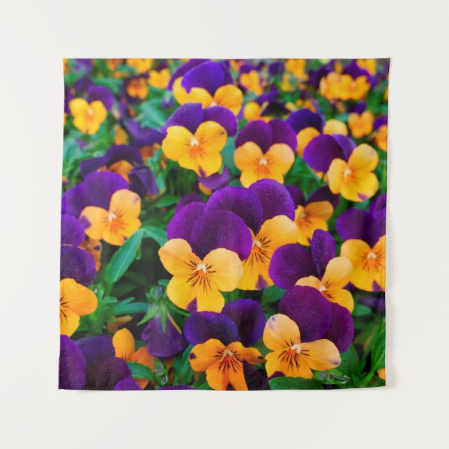 Beautiful blooming pansies in the garden tapestry (Front)