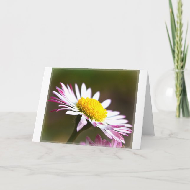 beautiful blossoms  petals romance romantic bridal card (Front)