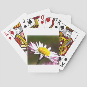 beautiful blossoms  petals romance romantic bridal playing cards