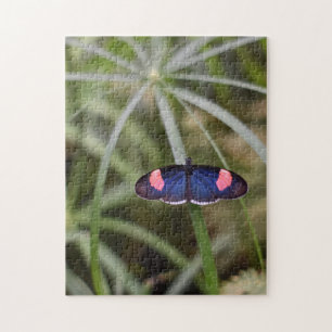 Beautiful Blue Butterfly Nature Photography Garden Jigsaw Puzzle