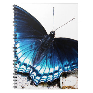 Beautiful Blue Butterfly Notebook