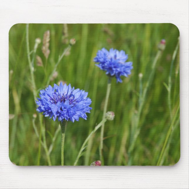 Beautiful Blue Cornflowers meadow flower design Mouse Pad (Front)