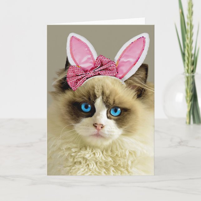 Beautiful Blue Eyed Cat Bunny Ears Easter Card  (Front)