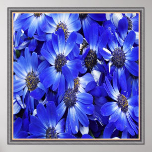Beautiful Blue Flowers Poster