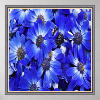 Beautiful Blue Flowers Poster