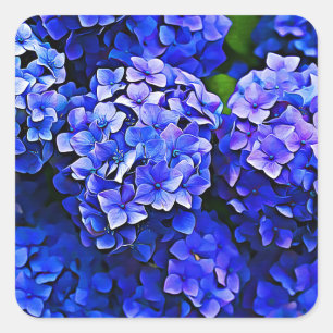 Beautiful Blue Hydrangea Flowers Stickers