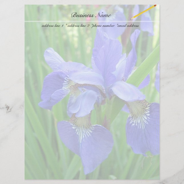 beautiful blue iris flowers (Front)