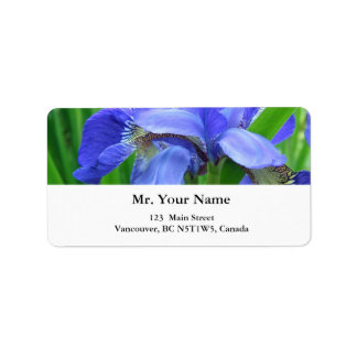 beautiful blue iris flowers label