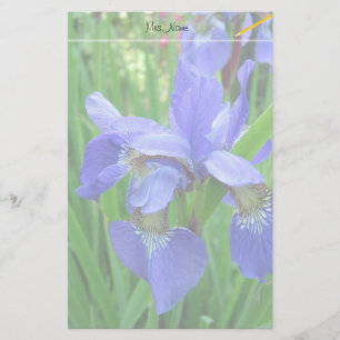 beautiful blue iris flowers stationery