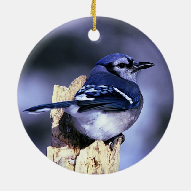 Beautiful Blue Jay bird Ceramic Tree Decoration (Back)