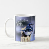 Beautiful Blue Jay Fine Feathers Quote