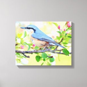 Beautiful Blue Jay on a Branch of Berries Canvas Print