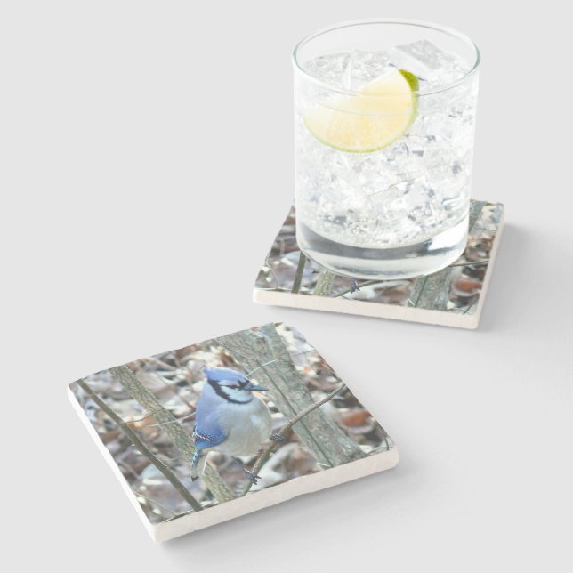 Beautiful Blue Jay Stone Coaster (Side)