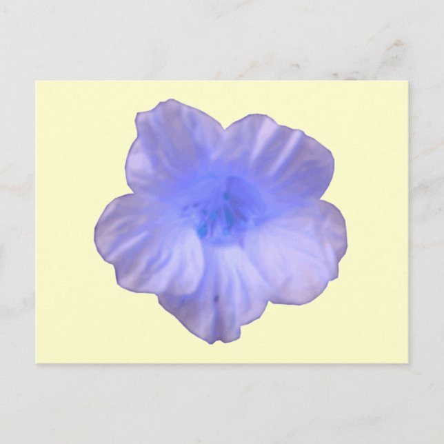 Beautiful Blue Nasturtium Postcard (Front)