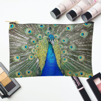 Beautiful Blue Peacock Feather Plumage