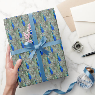Beautiful Blue Peacock Photo Pattern Wrapping Paper
