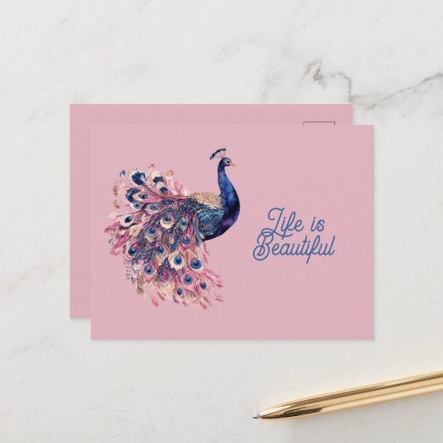 Beautiful Blue Pink Navy Blue Peacock Postcard (Front/Back In Situ)