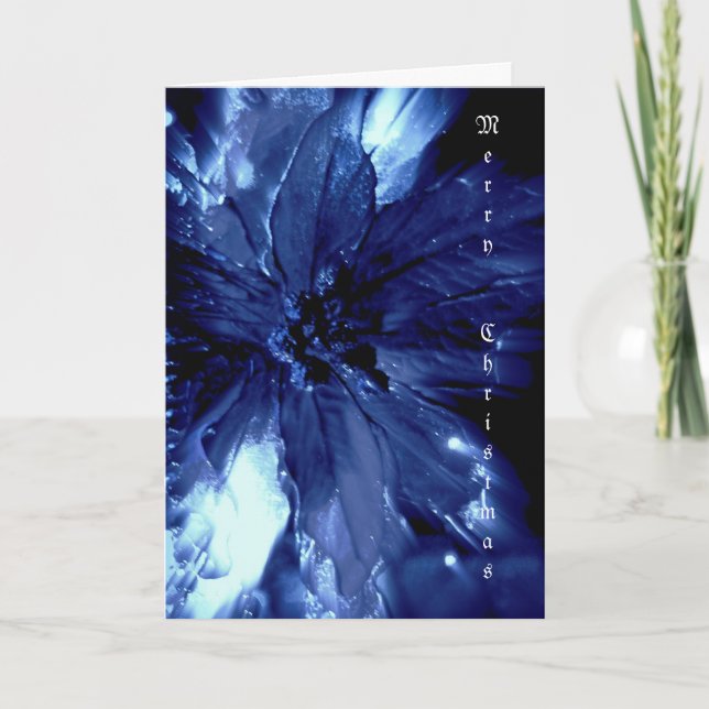 Beautiful blue pointsetta Christmas card (Front)